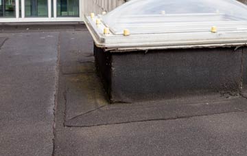 disadvantages of West Knoyle flat roofs