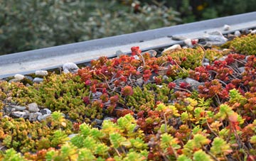 the cost of West Knoyle green roof installation