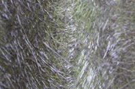 West Knoyle fibreglass roof work